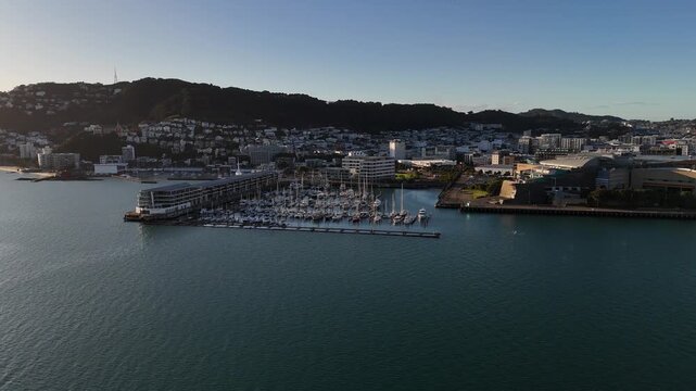 Chaffers Marina in Wellington Harbour with modern facilities and buildings, New Zealand. Aerial drone view, copy space