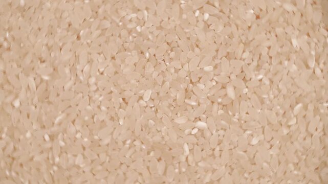 Rotation of rice as a texture close-up