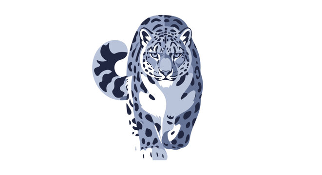 A large snow leopard walking forward.