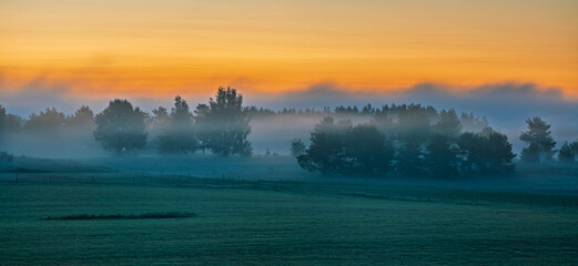Obraz premium Wafts of fog drifting over the forest at dawn