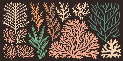 Coral And Seaweed Vector Illustration Collection Branching Forms © Anik