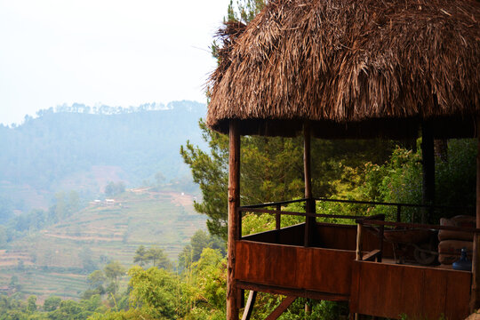 Traditional wooden Papua Honai round huts with thatched straw roofs in a lush forest park, featuring outdoor dirt pathway, green bamboo foliage, tribal architecture, and tropical travel scenery