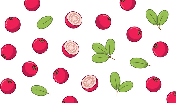 PrintFresh Red Cranberry Icon Set with Whole Berries, Half Slices, and Green Leaves for Organic Food, Cosmetic Packaging, and Autumn Graphic Designs