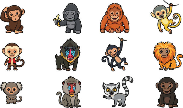 Cute cartoon monkey and ape species vector illustration set featuring chimpanzee gorilla orangutan baboon lemur and tamarin characters isolated on white background.