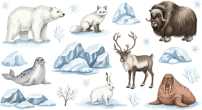 Arctic animals and polar wildlife vector elements set featuring polar bear arctic fox muskox reindeer seal walrus icebergs and snowflakes