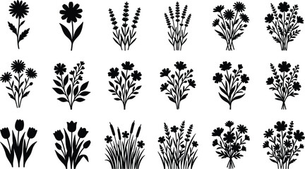 Wildflowers and garden herbs black silhouette collection isolated on white background for design elements © Radongo