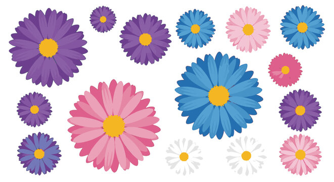 Collection of colorful aster flower heads in purple, blue, pink, and white isolated on white background. Botanical vector illustration of blooming star-shaped floral elements for design.