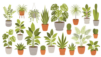 Houseplants collection with potted indoor green plants and cactus set © SOHAG