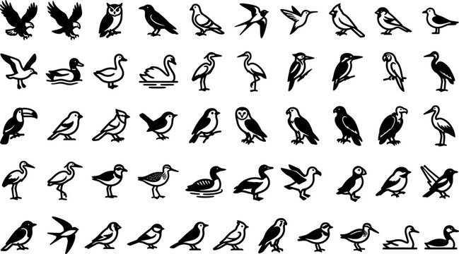 Birds vector icon set wild wildlife nature silhouette flying eagle owl duck swan parrot sparrow wings fauna animal logo illustration