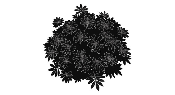 Solid black silhouette of an ornamental garden plant with dense palmately compound leaves and white outlines on a white background, ideal for botanical vector design and landscaping.