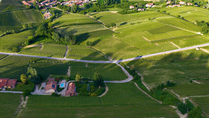 Fototapeta premium Aerial View of Rolling Green Vineyards and Countryside Village in Italy