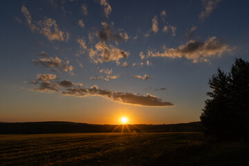 Obraz premium golden wheat field in sunset light