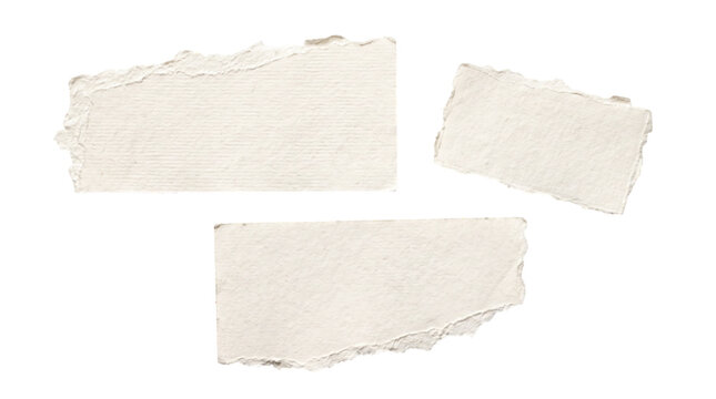 Ripped paper edges collection isolated on transparent background. Blank textured note paper shreds template vector illustration. Set of vintage paper fragments with deckle edge borders.