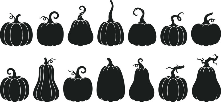 Halloween vactor silhouette pumpkins for autumn decor
