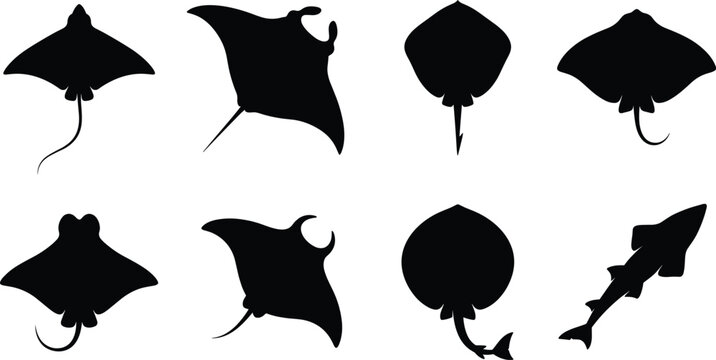 Black silhouettes of stingrays and marine elasmobranch fish vector icons isolated on a white background