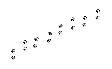 Obraz premium Otter Footprint Trail Animal Tracks Silhouette
