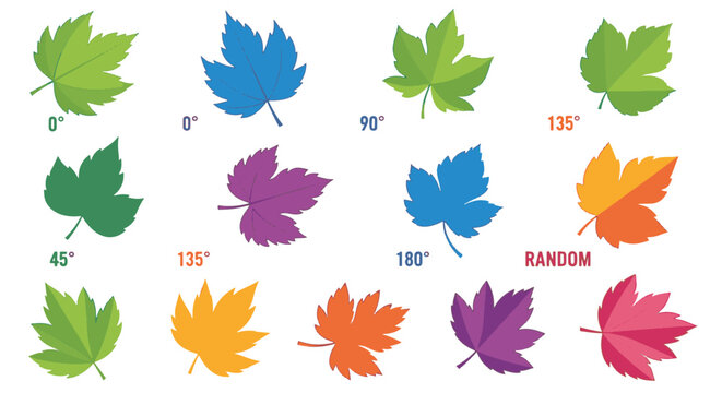 Colorful flat vector maple leaf set demonstrating specific rotation angles from zero to one hundred eighty degrees plus random orientations on an isolated white background.