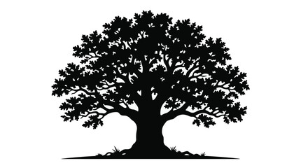Fototapeta premium Large old oak tree silhouette landscape element isolated on white background