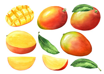 Fresh mango full and cut with slice and leaves set. Original Hand drawn watercolor illustration isolated on white background © dariaustiugova