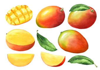 Fresh mango full and cut with slice and leaves set. Original Hand drawn watercolor illustration isolated on white background © dariaustiugova
