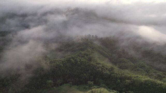 Drone view of thick mist rolling over green forest hills in Sajek Valley