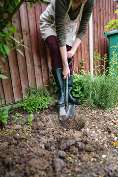 Gardener digging a hole in soil for planting in a backyard garden