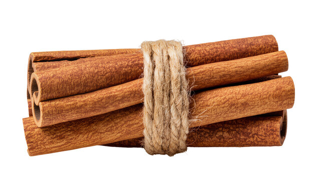 Bundle of cinnamon sticks tied with rough jute twine