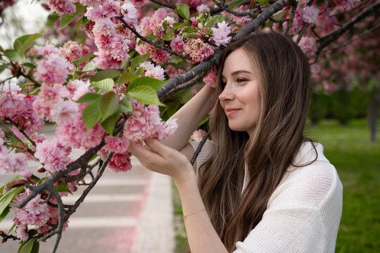 Smiling woman touching blooming cherry tree outdoors in spring