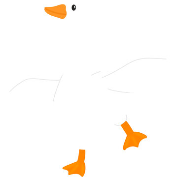 Flying Duck Illustration