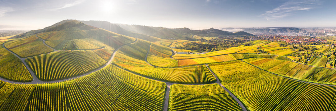 Germany, Baden-Wurttemberg, Stuttgart, Aerial panorama of vast countryside vineyards at autumn sunset