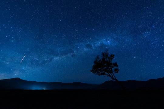 Indonesia, East Java, Milky Way galaxy on blue starry night sky over silhouette of lone tree in Bromo Tengger Semeru National Park