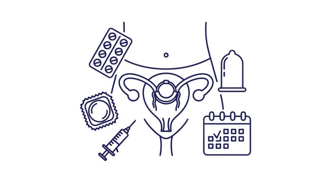 Illustration of various female reproductive health and birth control methods.
