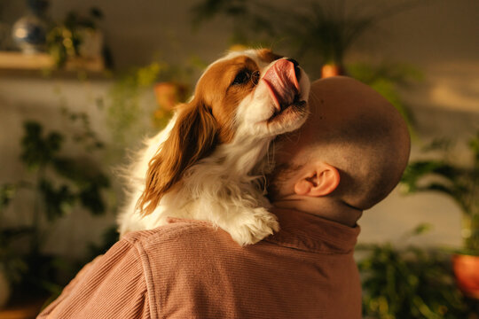 Bald man carrying dog on shoulder at home