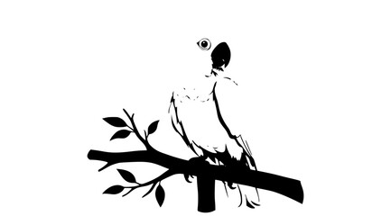  Young Sulphur Crested Cockatoo Perched on Branch Wildlife Vector Illustration Isolated on White Background © Nasim