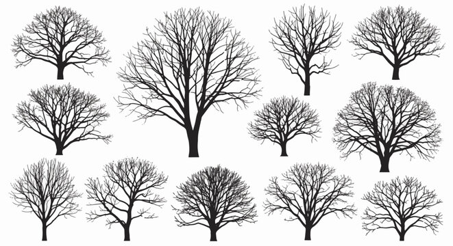 Collection of black bare tree silhouettes isolated on a white background. Assortment of various leafless deciduous trees featuring intricate winter branches and trunk shapes.