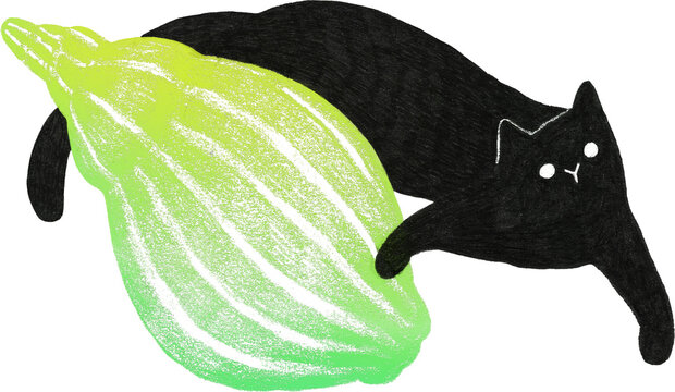 Whimsical black cat with green gradient conch shell, colored pencil hand-painted summer graphic, transparent PNG