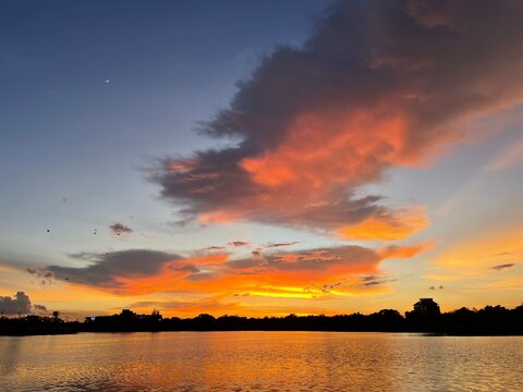 Beautiful orange sunset sky over the lake at twilight with silhouette trees.