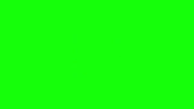 Butterfly on green screen background, colorful wings spread