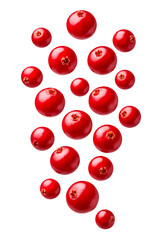 Fototapeta premium Fresh Red Cranberries Falling in Air with Ripe Whole Berries for Healthy Food and Natural Fruit Design Isolated on Transparent Background