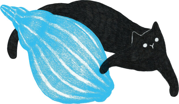Playful black cat with sky blue conch shell, colored pencil texture hand-drawn graphic, isolated PNG