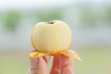 Fresh Peeled Loquat Fruit in Hand with Natural Background - Asian Spring Fruit © CaoVan