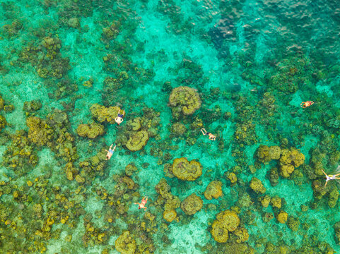 Aerial view of Malwawey Coral Garden with snorkelers swimming over vibrant coral formations in the clear turquoise waters of Coron, Palawan, Philippines.
