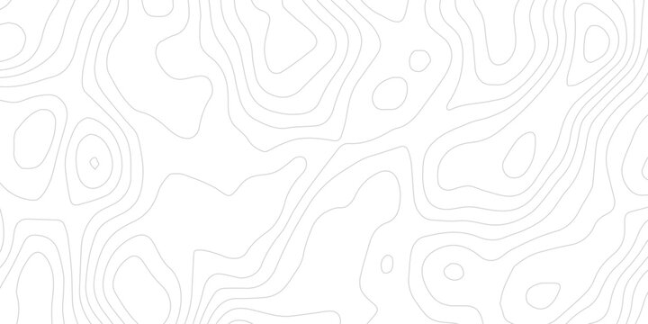 Clean White Abstract Background with Realistic Paper Cut Layers, Wavy Relief Texture, Topographic Contour Lines, Elegant Modern Minimal Design, Soft Shadows, Luxury Paper Art Style, Perfect for Graphi