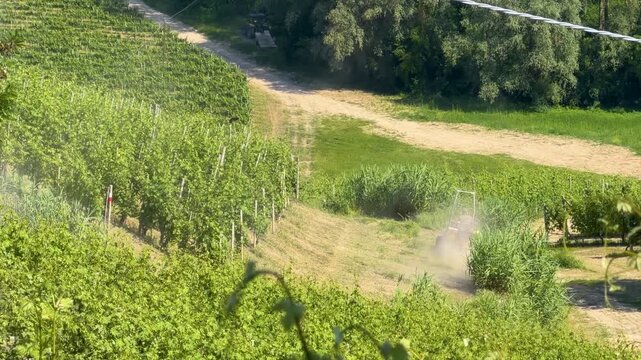 Agricultural Tractor Spraying Pesticide in a Sunny Italian Vineyard