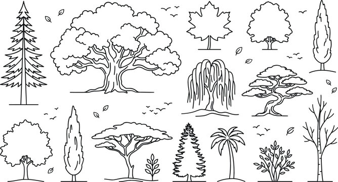 Tree and forest line icon set featuring oak pine maple willow cypress palm shrub and nature vector elements