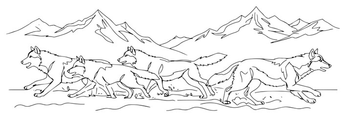 Fototapeta premium Wolf pack running in mountains continuous line drawing, wildlife predators in winter landscape minimalist vector illustration