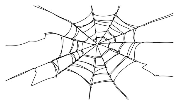 Spider web or cobweb continuous line drawing, fragile nature pattern minimalist vector illustration, Halloween or abandoned concept