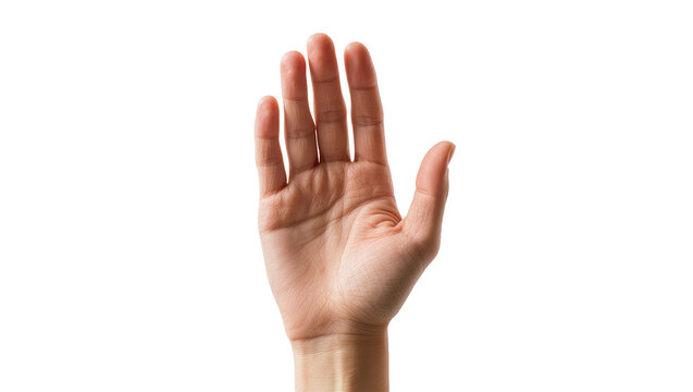 Open human hand palm facing forward, fingers spread