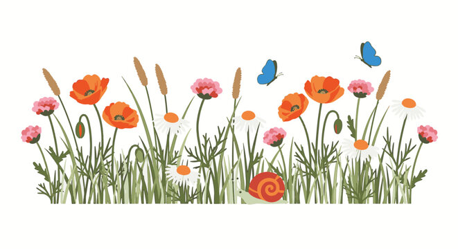 Horizontal wildflower meadow border illustration featuring red poppies, white daisies, pink carnations, green grass stalks, two blue butterflies, and a red snail on a plain white background.