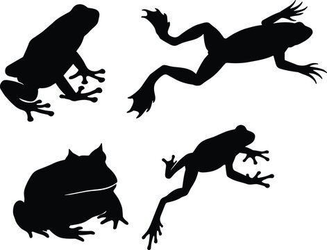 Frog silhouette vector set featuring sitting, crouching, and leaping amphibian poses